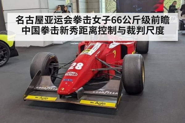 名古屋亚运会拳击女子66公斤级前瞻 中国拳击新秀距离控制与裁判尺度