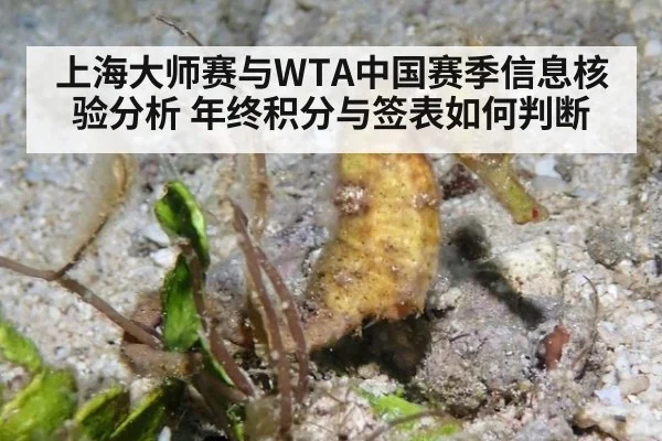 上海大师赛与WTA中国赛季信息核验分析 年终积分与签表如何判断